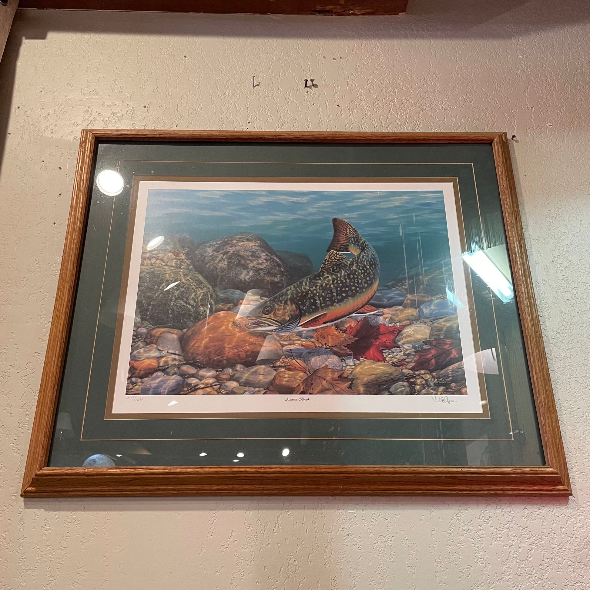 Brook Tout & Stones in Streambed Art ART