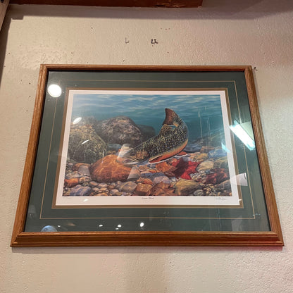 Brook Tout & Stones in Streambed Art ART
