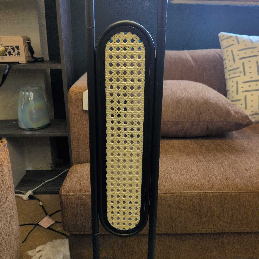 Webbed Caning Black Floor Lamp LAMPS