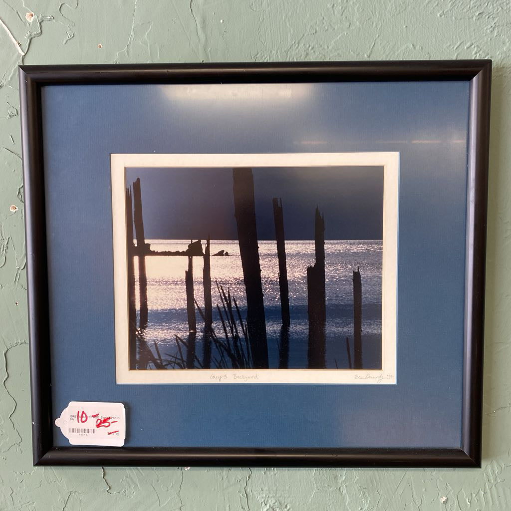 GREY'S BACKYAED Signed Photo ART