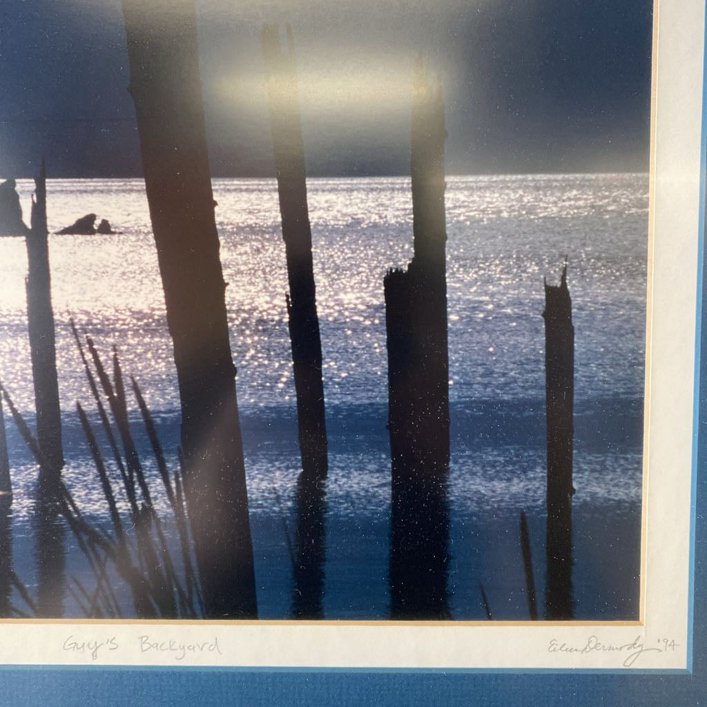 GREY'S BACKYAED Signed Photo ART