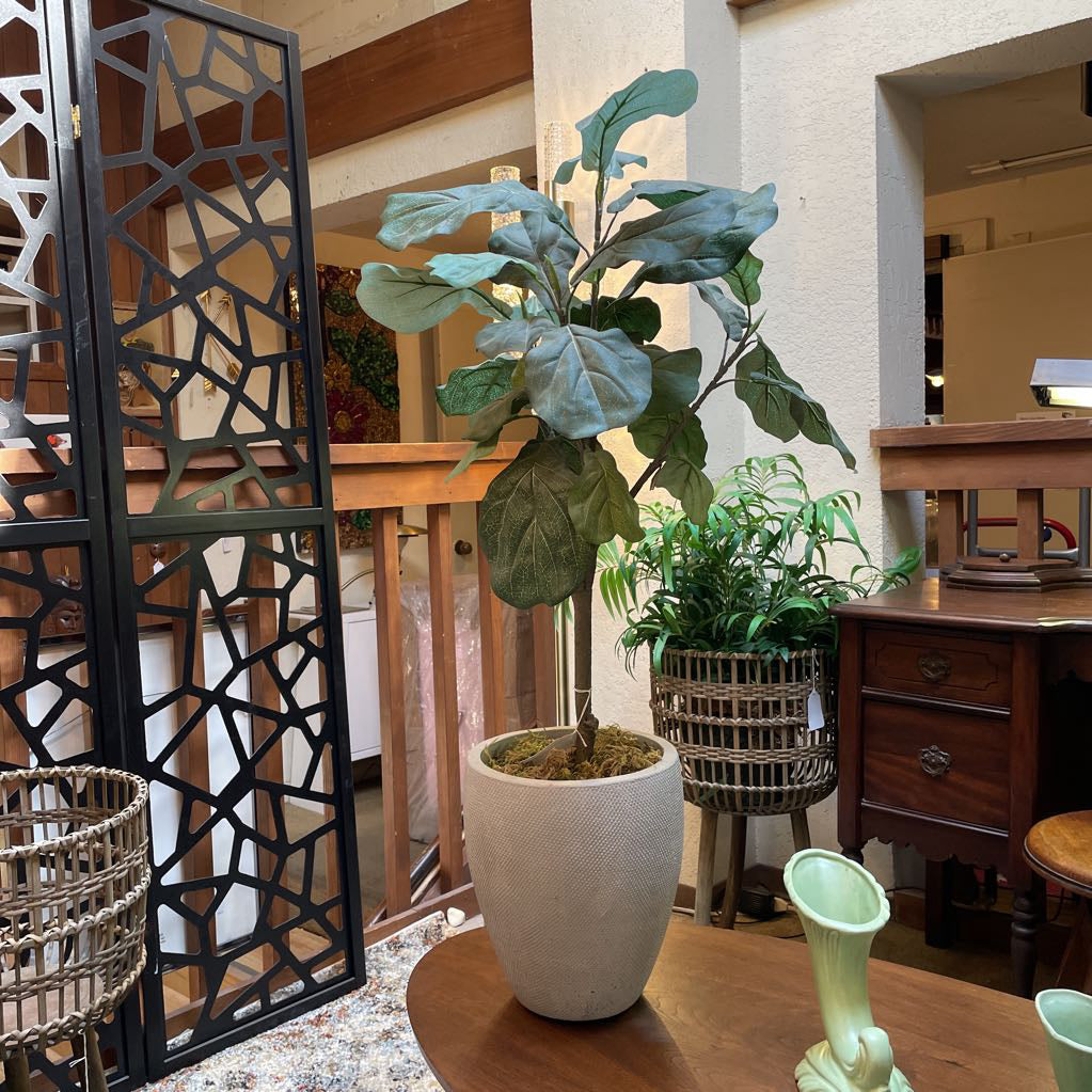 Faux Fig Plant in Cement Pot