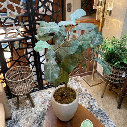 Faux Fig Plant in Cement Pot