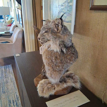Taxidermy lynx on a stand in a room with furniture and decor.