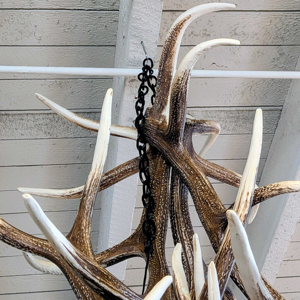 Large deer antlers with a chain against a wooden wall.
