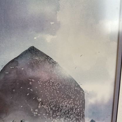 Close-up of a shark fin with a blurred background