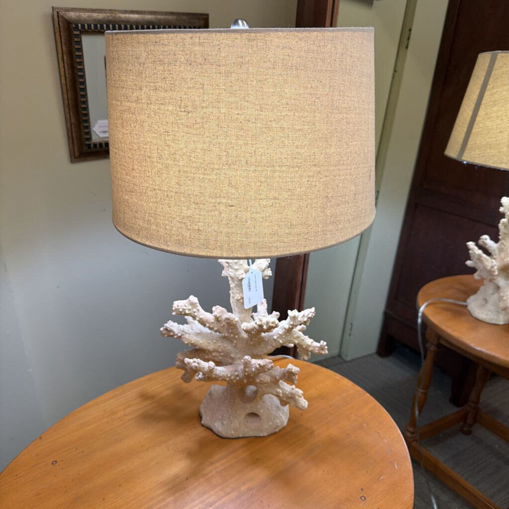 Lamp with coral base on a wooden table