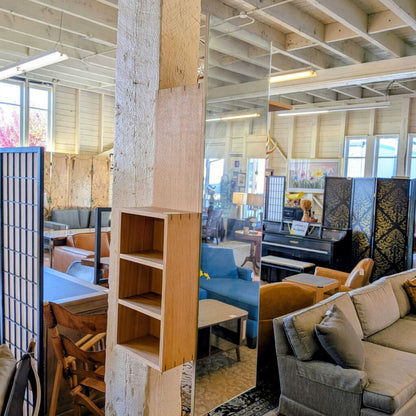Living room with furniture and decor elements in a well-lit space