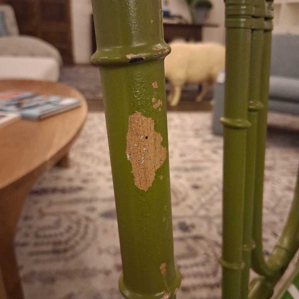 Green bamboo plant with a patch of missing bark in a living room setting