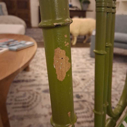 Green bamboo plant with a patch of missing bark in a living room setting