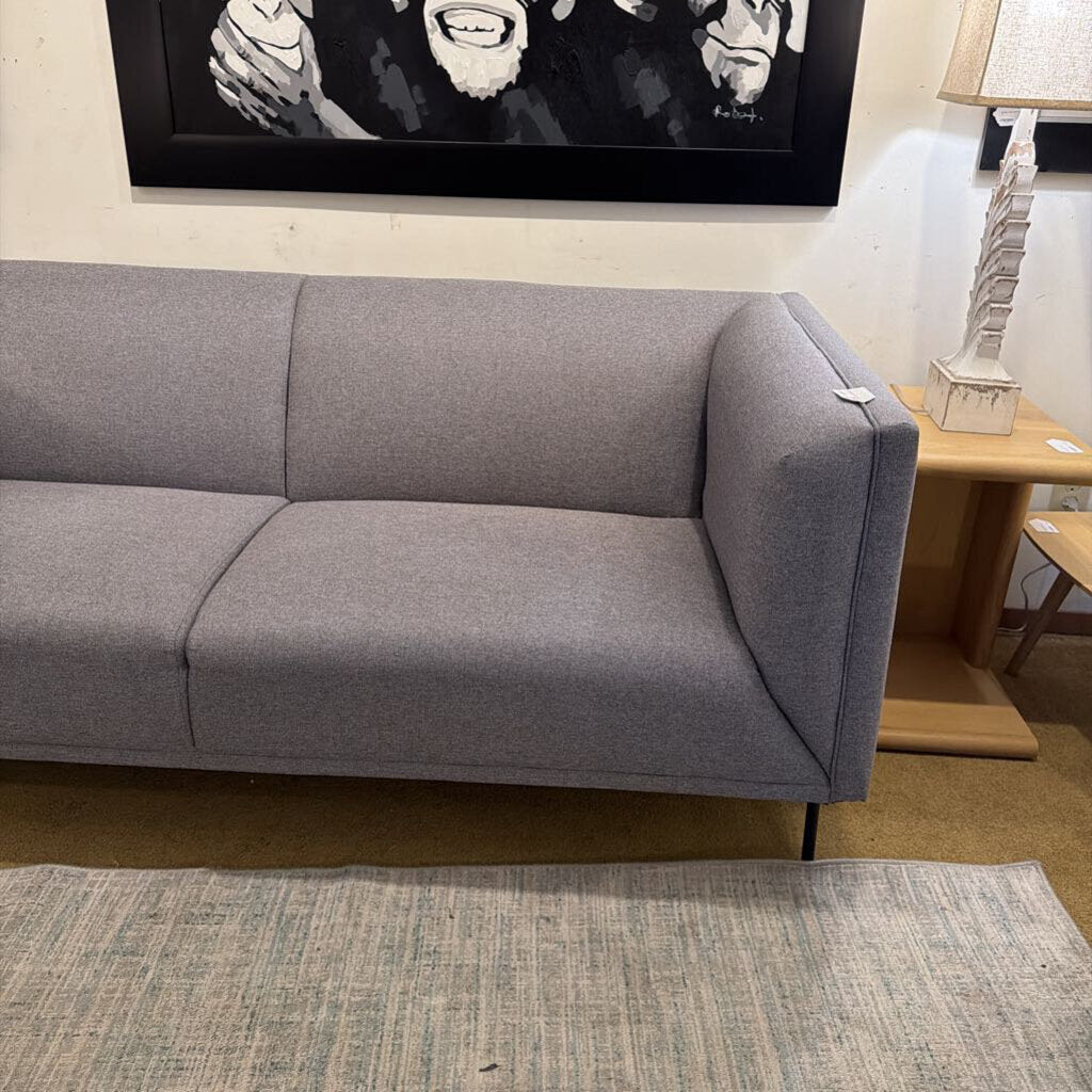 Gray sofa in a room with a rug and framed artwork on the wall.