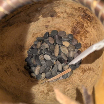 Coconut filled with small stones and a stick on a blurred natural background
