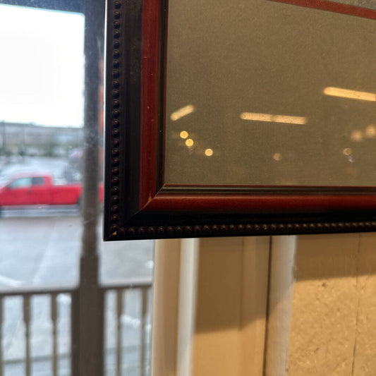 Sockeye Salmon w/ Lure Artwork