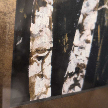 Close-up of a textured surface with black, white, and brown colors