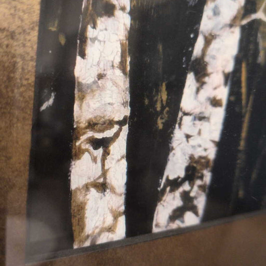 Close-up of a textured surface with black, white, and brown colors