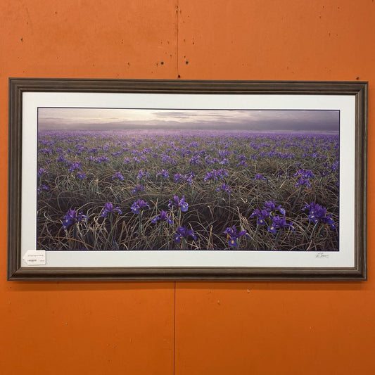 LEE MANN Skagit Iris Photo