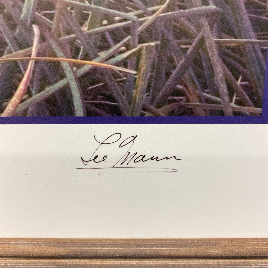 LEE MANN Skagit Iris Photo