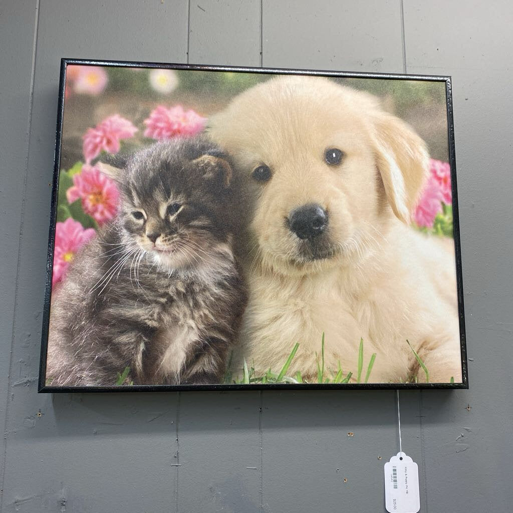 Framed picture of a kitten and a puppy with flowers in the background on a gray wall.