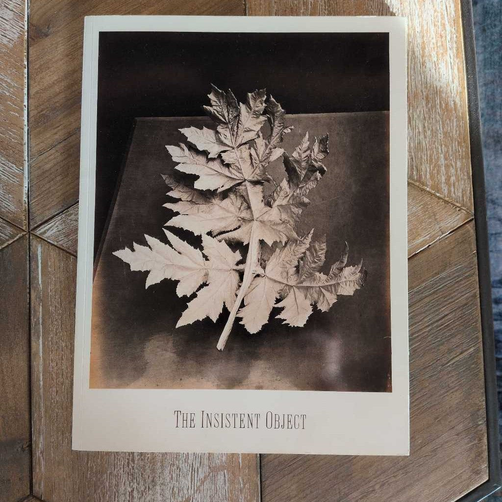 "The Insistant Object" Picture Book SMALLS