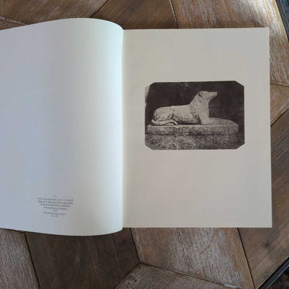 "The Insistant Object" Picture Book SMALLS