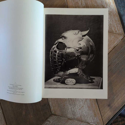 "The Insistant Object" Picture Book SMALLS