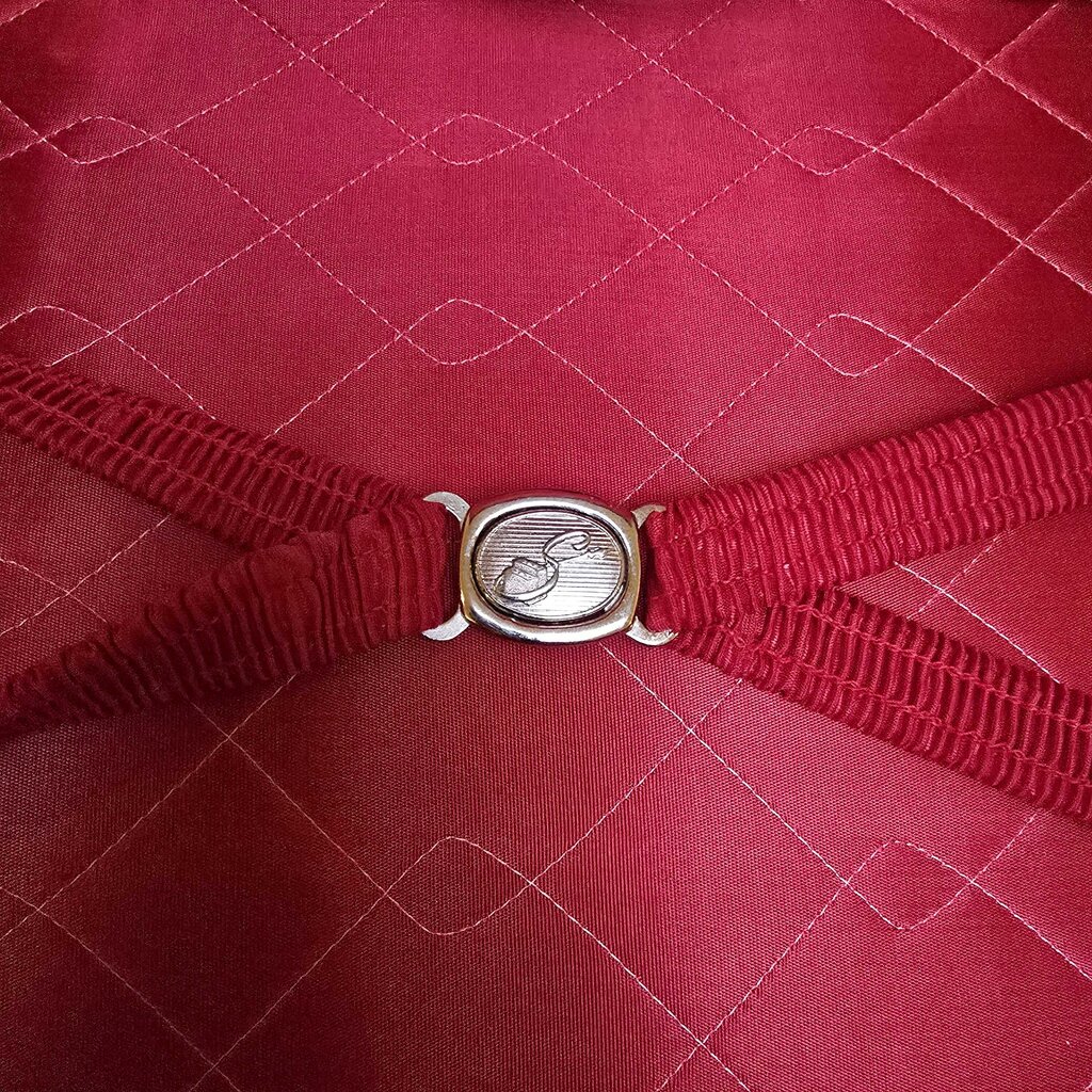 Navy & Red Detail Skyway Luggage SET OF 2