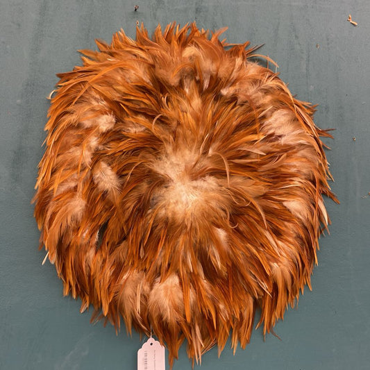 So Many Feathers Decor