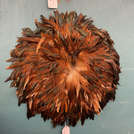 So Many Feathers Decor