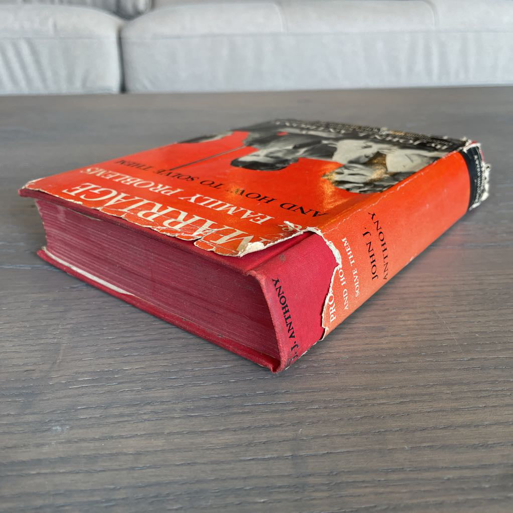 Vintage Marriage & Family Problems Book SMALLS