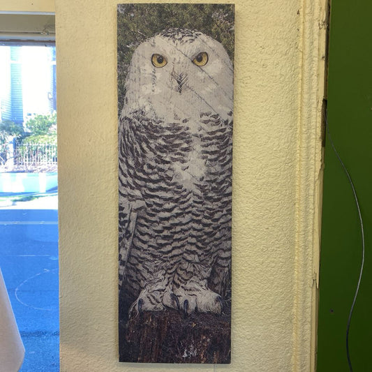 Owl illustration on a book page with a blurred outdoor background