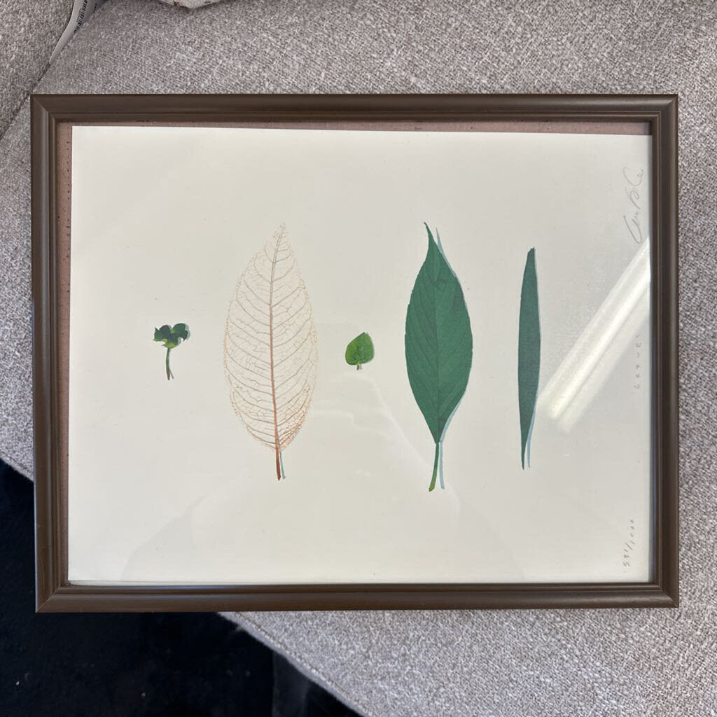 Framed artwork with illustrations of leaves on a textured surface