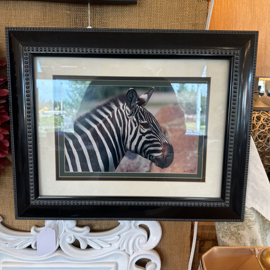 Framed picture of a zebra on a decorative surface