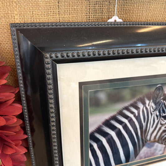 Framed picture of a zebra with a decorative black frame against a textured beige wall.