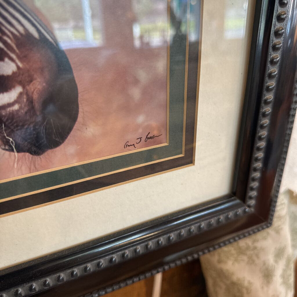 Framed artwork of a horse's nose with a signature, close-up view.