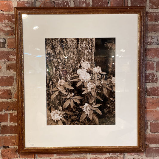 Sepia Tree Trunk + Flowers Framed Photo Print