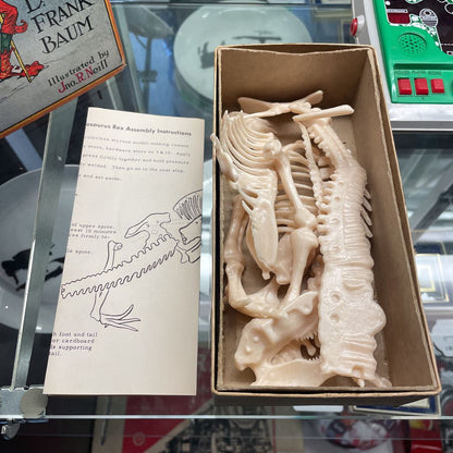 Plastic T. Rex Skeleton Set in Box UNIQUE FINDS