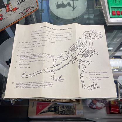 Plastic T. Rex Skeleton Set in Box UNIQUE FINDS