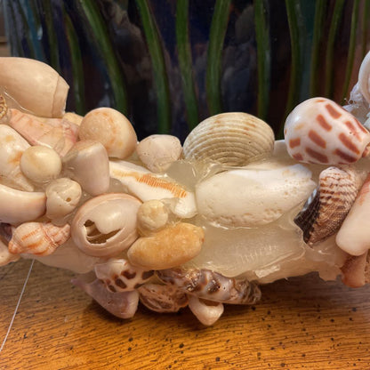 Shells Wreath Decor AS IS UNIQUE FINDS