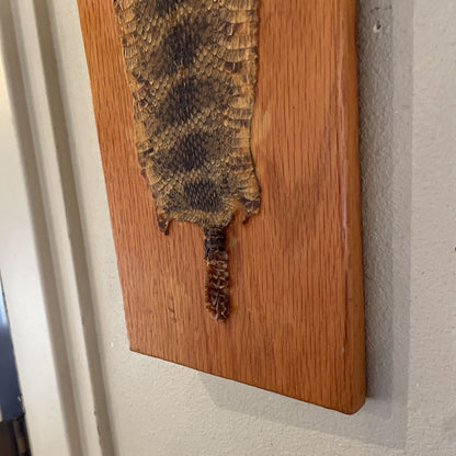 Rattlesnake Skin on Board UNIQUE FINDS