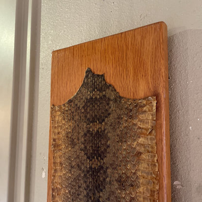 Rattlesnake Skin on Board UNIQUE FINDS
