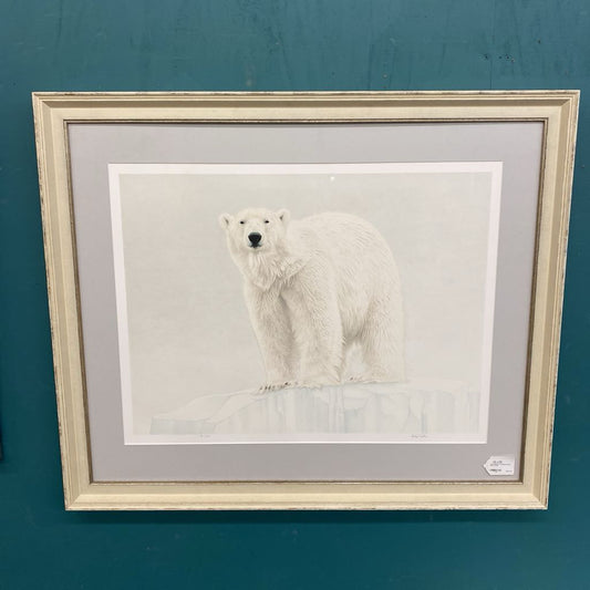 Framed picture of a polar bear on a teal background