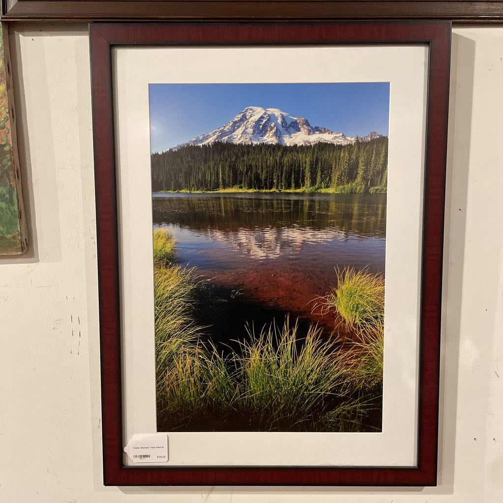 Rainier Mountain, Trees, Pond ART