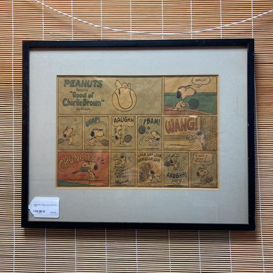 Framed comic strip of Snoopy and Woodstock on a wooden panel with a label.