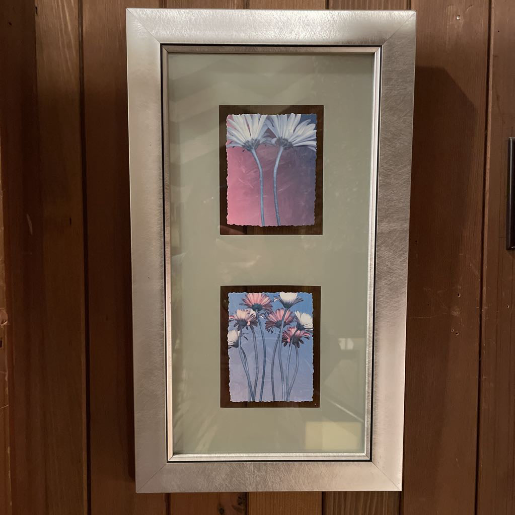 Daisies on See-Through Edge Frame Art ART
