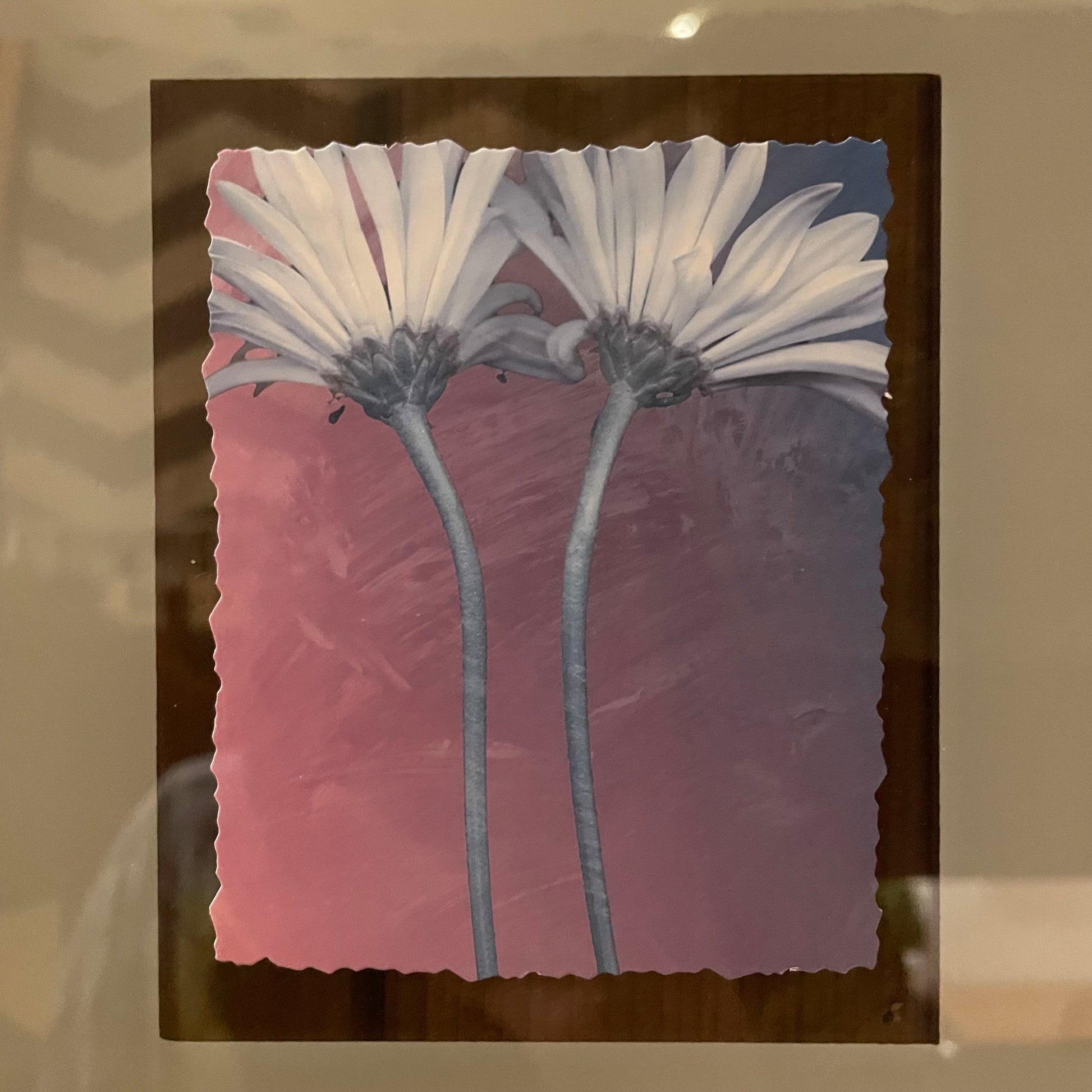 Daisies on See-Through Edge Frame Art ART