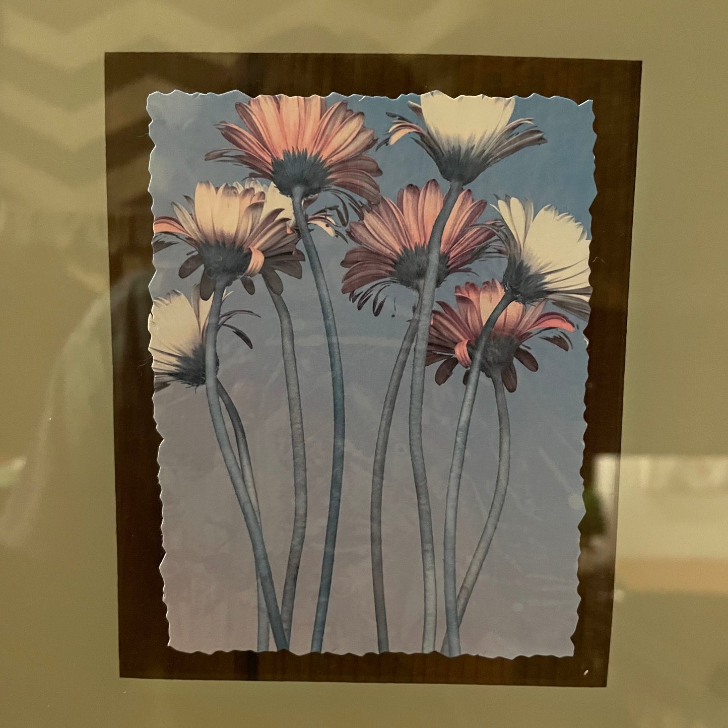 Daisies on See-Through Edge Frame Art ART