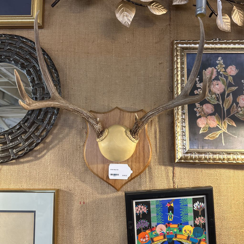 Decorative wall with antlers, framed pictures, and a floral painting.