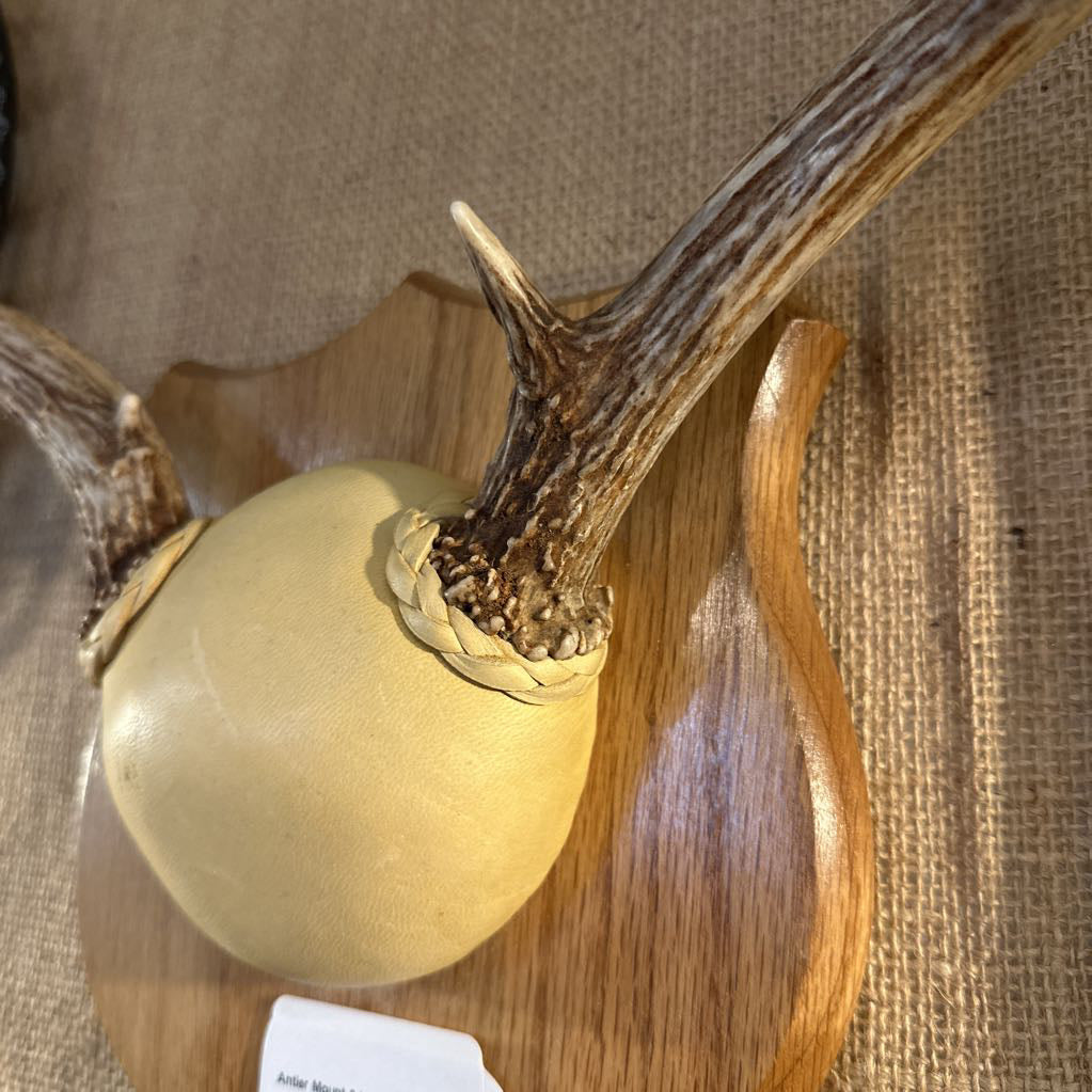 Decorative item with a white ball and antlers on a wooden base against a textured brown background