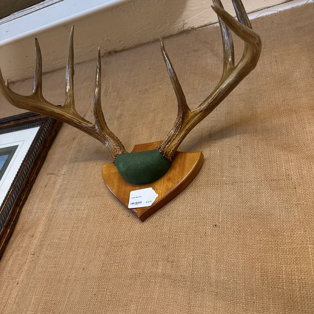Decorative deer antlers on a wooden base with a green center, displayed on a textured surface.