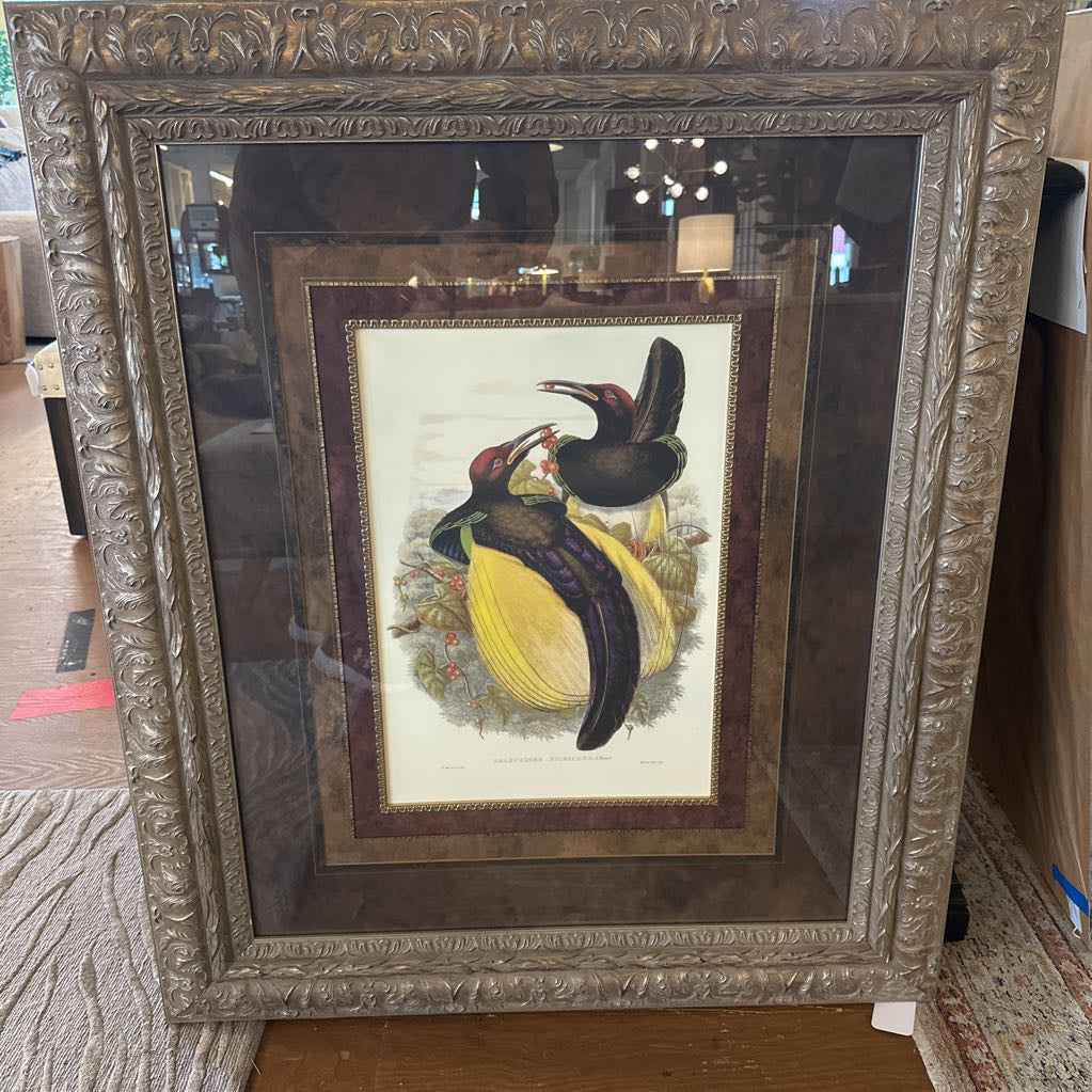 "Bird of Paradise IV" Lithograph ART